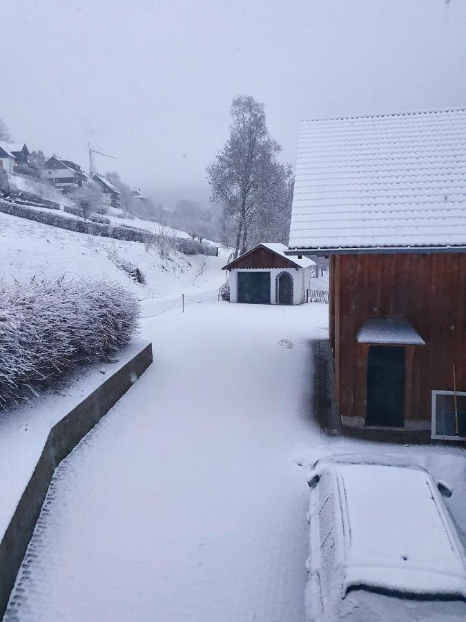 Ferienhaus Grimme - 350M2, 18 Betten - Mit Indoorspielplatz, Pool, Grosser Terrasse, Grill, Sauna, Kicker, Dart, Uvm - Ideal Fuer Familien Schmallenberg Eksteriør billede