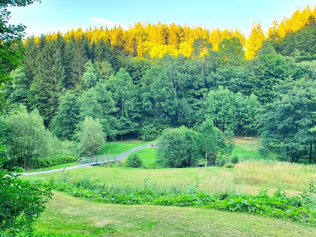 Ferienhaus Grimme - 350M2, 18 Betten - Mit Indoorspielplatz, Pool, Grosser Terrasse, Grill, Sauna, Kicker, Dart, Uvm - Ideal Fuer Familien Schmallenberg Eksteriør billede