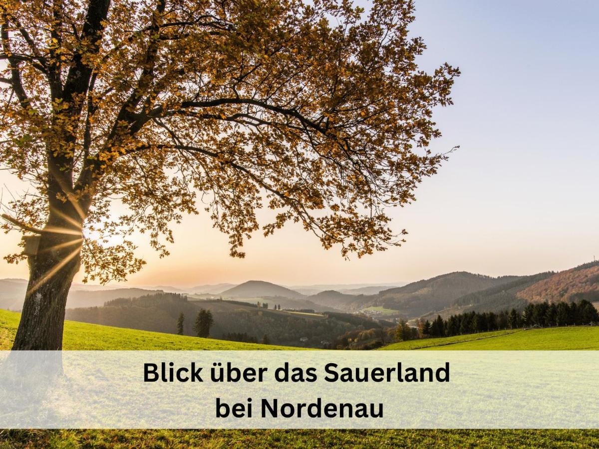 Ferienhaus Grimme - 350M2, 18 Betten - Mit Indoorspielplatz, Pool, Grosser Terrasse, Grill, Sauna, Kicker, Dart, Uvm - Ideal Fuer Familien Schmallenberg Eksteriør billede