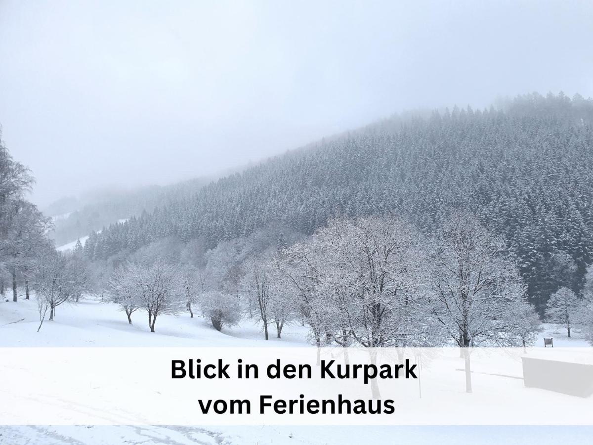 Ferienhaus Grimme - 350M2, 18 Betten - Mit Indoorspielplatz, Pool, Grosser Terrasse, Grill, Sauna, Kicker, Dart, Uvm - Ideal Fuer Familien Schmallenberg Eksteriør billede
