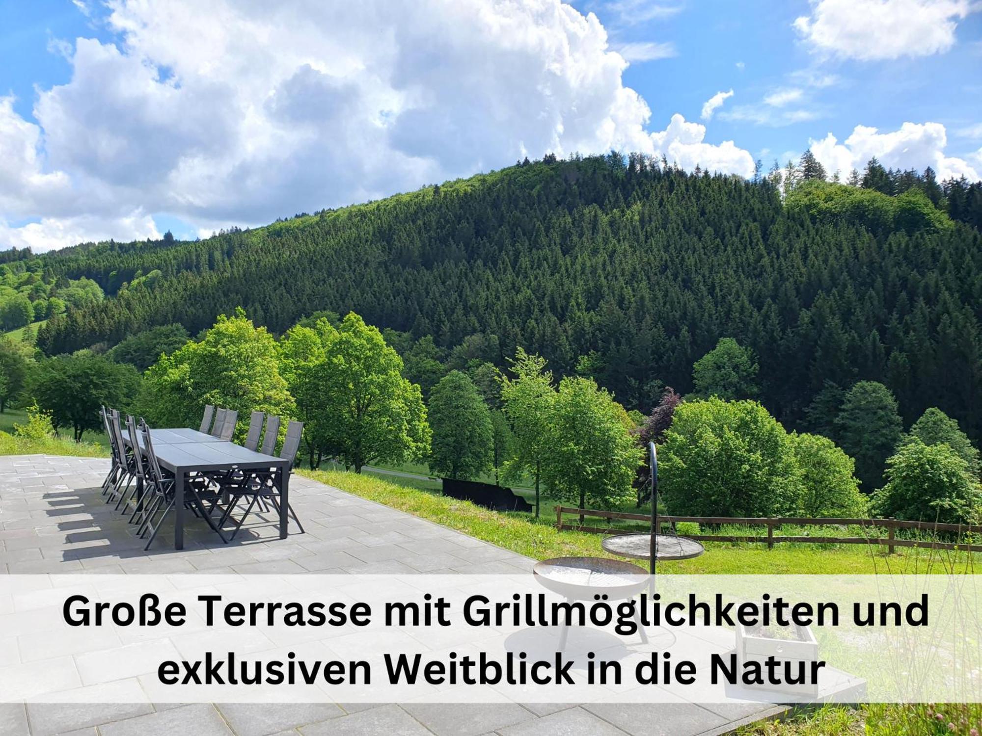 Ferienhaus Grimme - 350M2, 18 Betten - Mit Indoorspielplatz, Pool, Grosser Terrasse, Grill, Sauna, Kicker, Dart, Uvm - Ideal Fuer Familien Schmallenberg Eksteriør billede