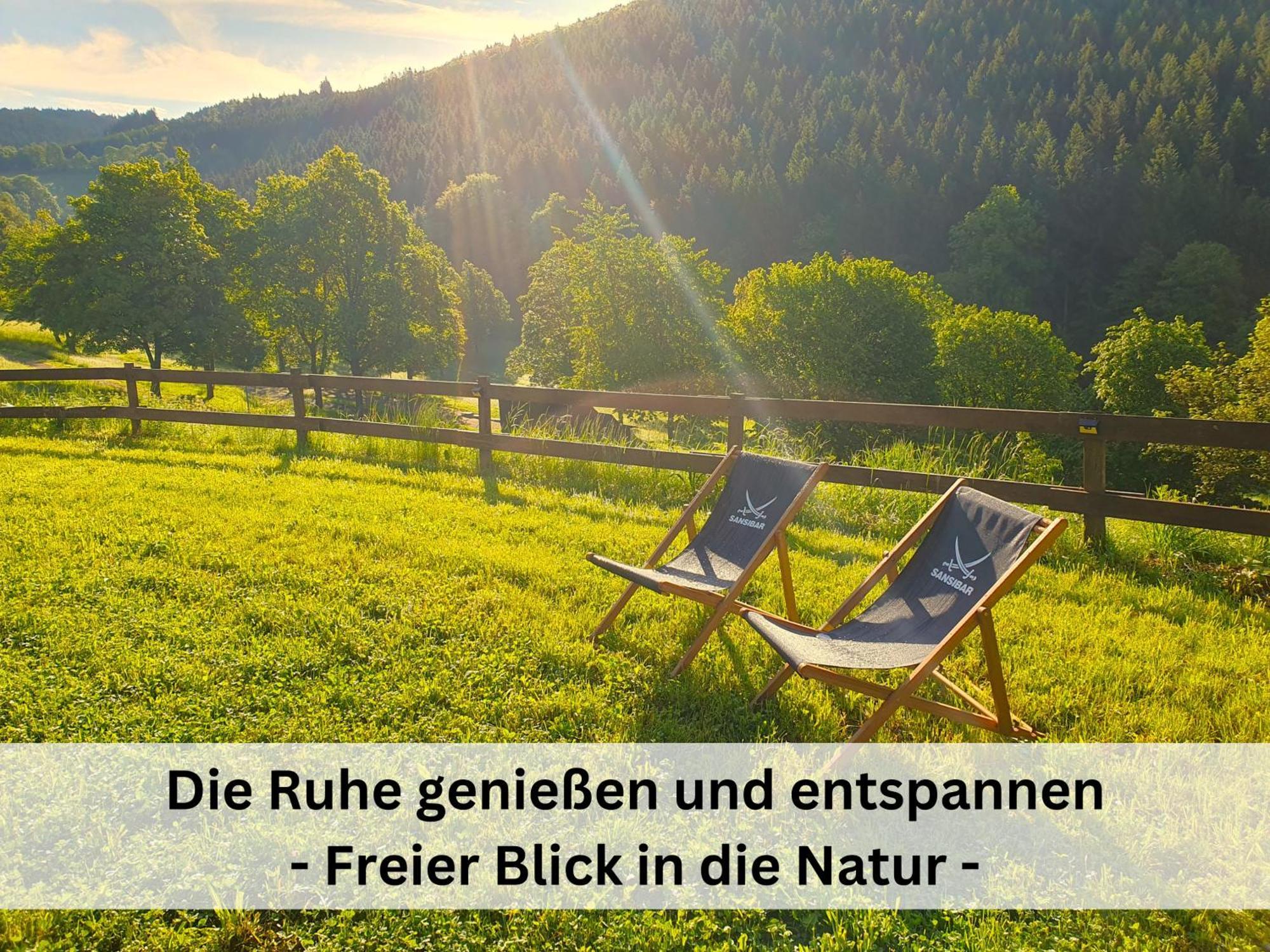 Ferienhaus Grimme - 350M2, 18 Betten - Mit Indoorspielplatz, Pool, Grosser Terrasse, Grill, Sauna, Kicker, Dart, Uvm - Ideal Fuer Familien Schmallenberg Eksteriør billede